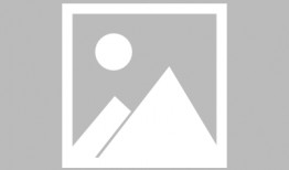 美国派2完整版在线观看,重聚校园完整版在线观看：重温青春狂放岁月